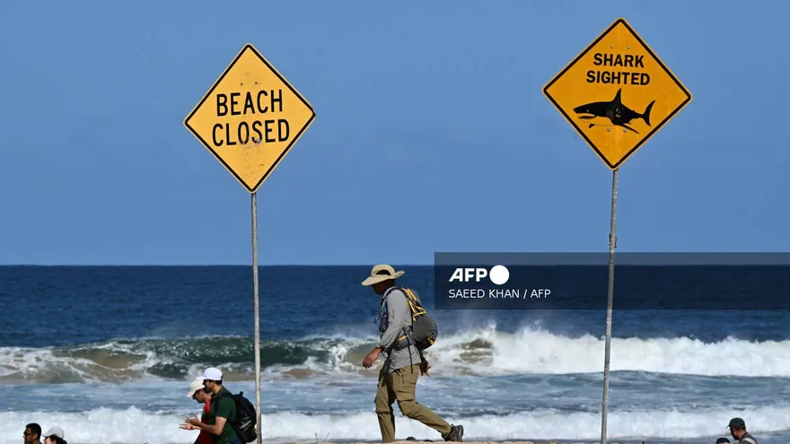 La playa donde ocurrió el ataque de un tiburón a un surfista en Australia