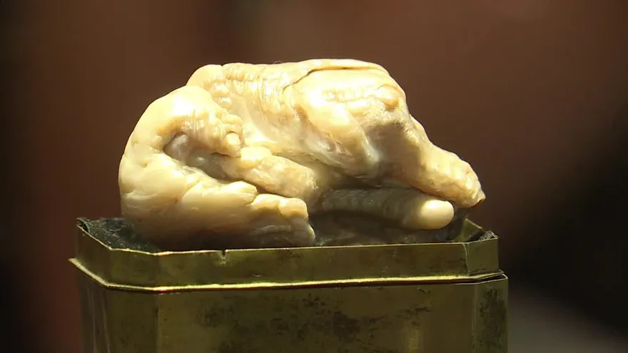 Venden por 320.000 euros perla natural de agua dulce más grande