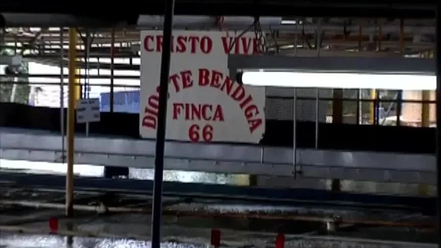 Trabajadores de bananeras de Bocas del Toro en paro