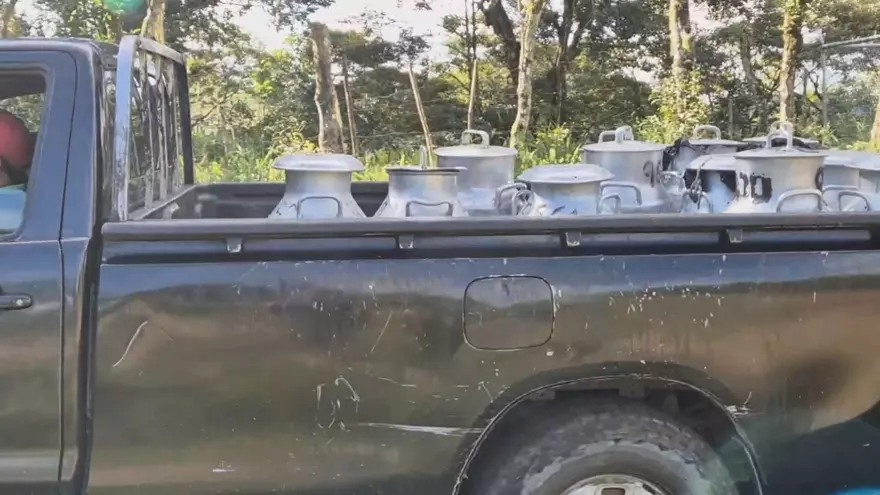 Un vehículo 4X4 transporta garrafones de leche en una comunidad en Chiriquí