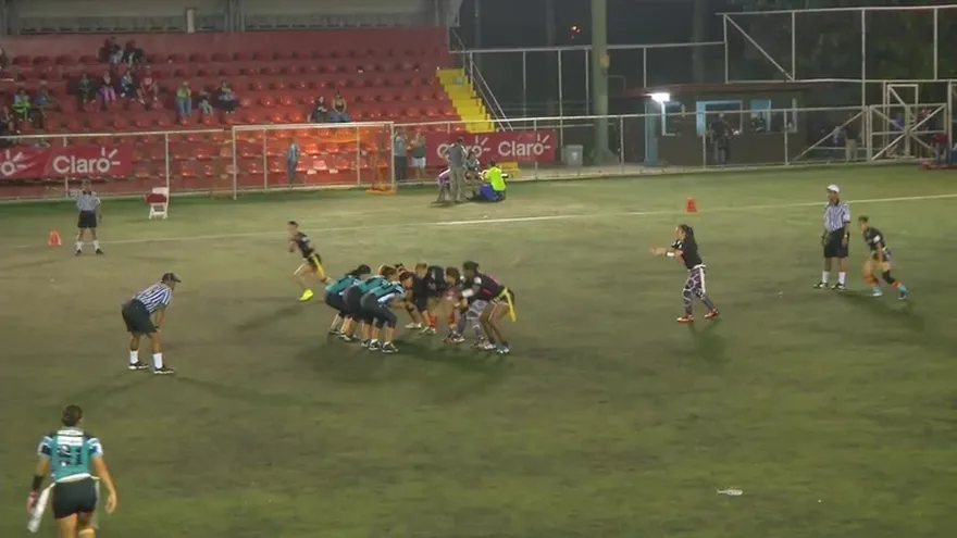 Warriors vs Dragonflies