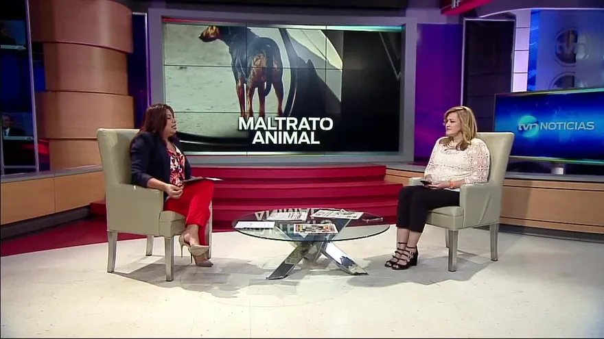 Noticiero AM 5 de junio del 2017 - Bloque 5