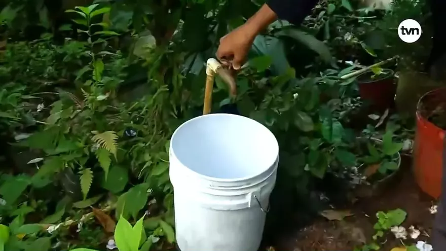 Crisis de agua empeora en Arraiján; Residentes están condenados a los tanques y el agua de lluvia