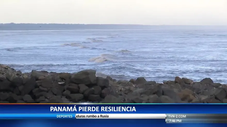 La importancia de los manglares ante las altas mareas