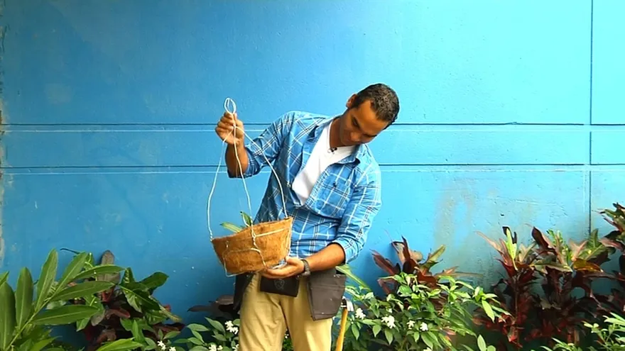 Handyman Macetero con estopa de coco