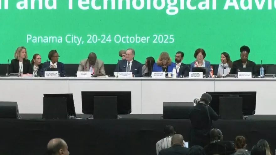 Representantes de 196 países se reúnen para trazar la ruta de cuidado de la biodiversidad mundial.