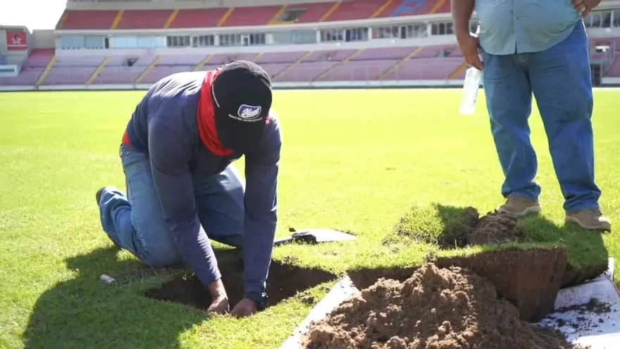 Continúan trabajos en la grama del estadio Rommel Fernández