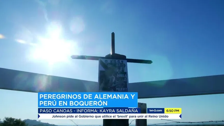 Peregrinos realizan siembran de arboles en Boquerón