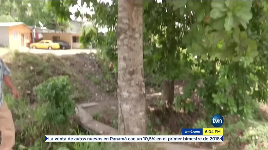 Comunidad en San Miguelito teme tragedia por árbol a punto de caer