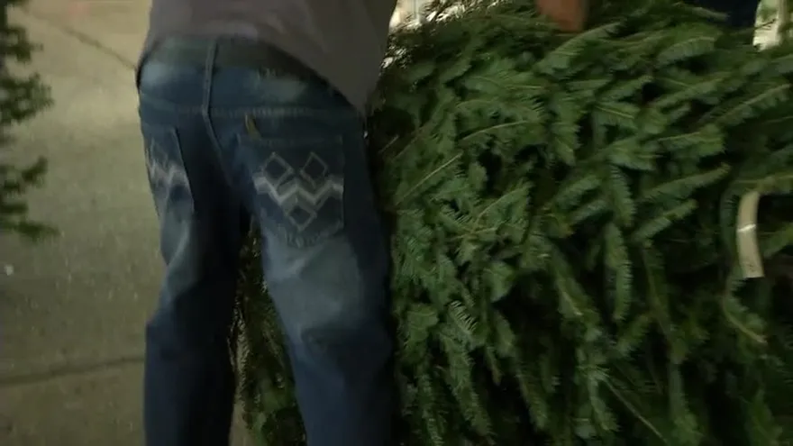 Precios de los arbolitos navideños