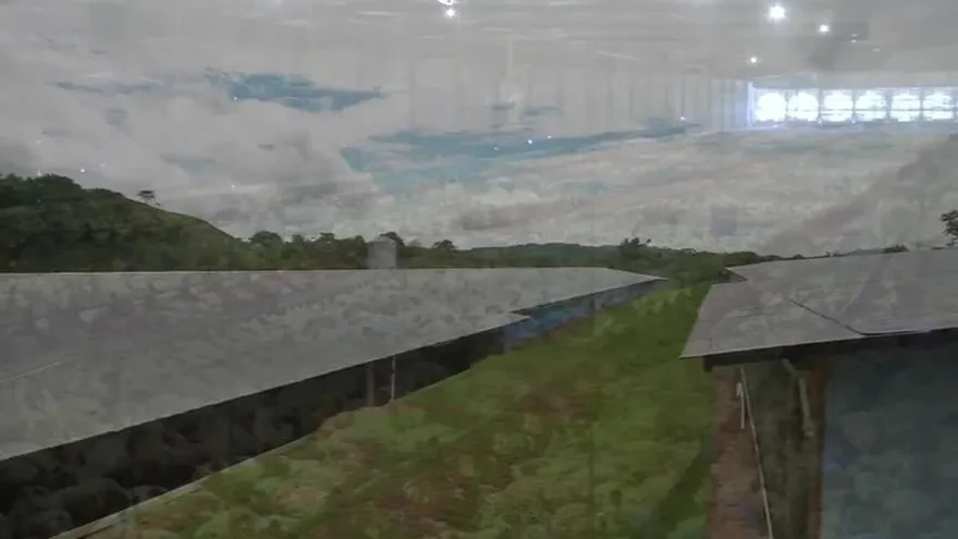 Empresa avícola en La Chorrera pierde miles de dólares tras constantes apagones