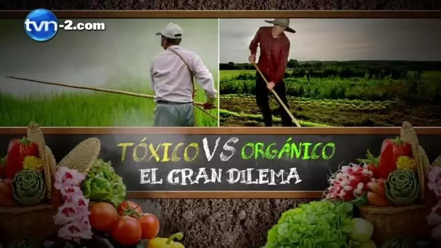 Tóxico vs. Orgánico, el gran dilema