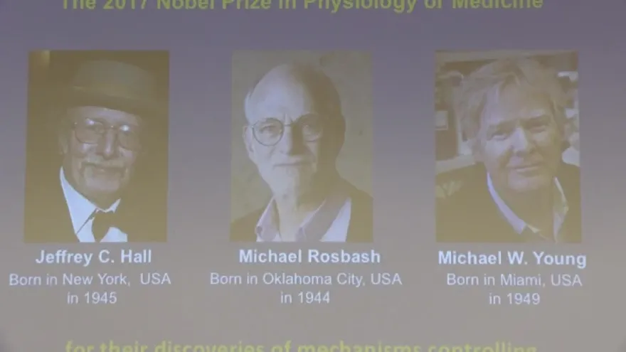 Nobel de Medicina a tres estadounidenses