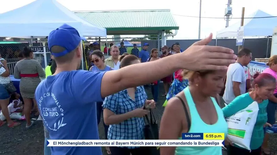 Cientos de personas asistieron a las 'Naviferias'