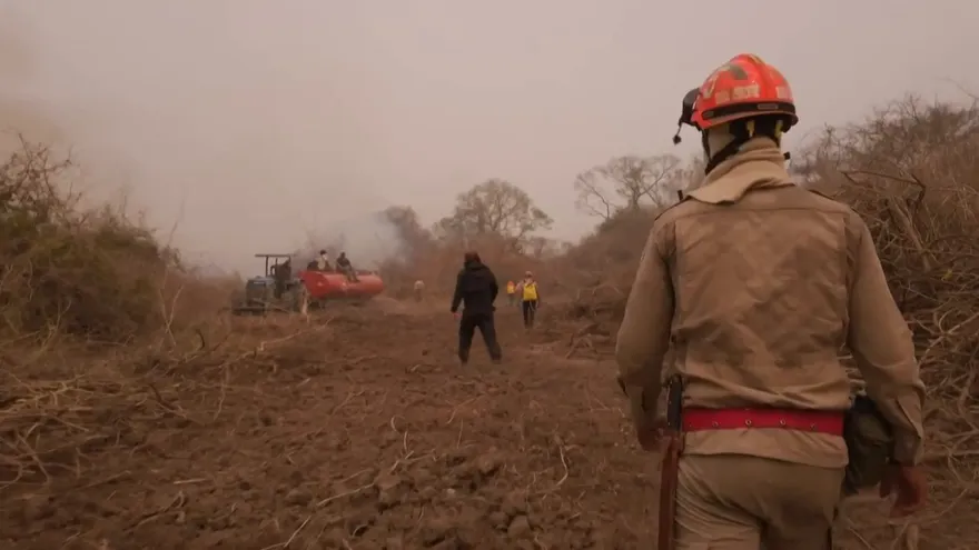 Presos ayudan a combatir incendios en el Pantanal brasileño