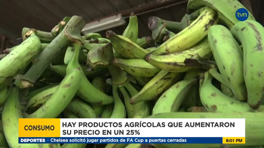 Consumidores salen a las calles en busca de nuevas alternativas por costos de alimentos