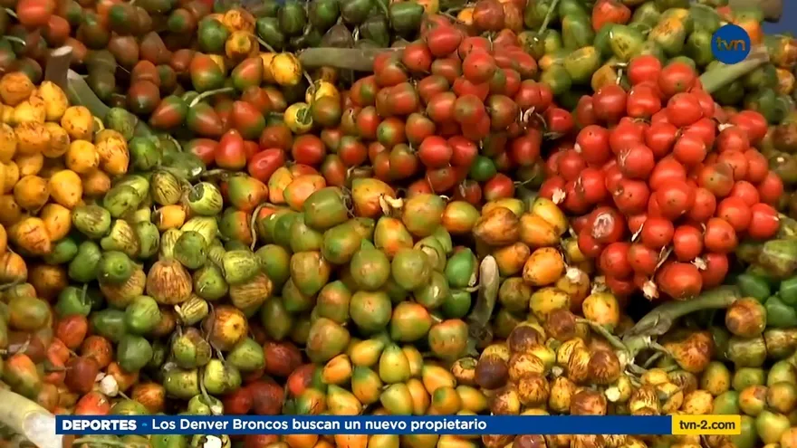 Aparición de una plaga ha estado afectando la producción del pixbae