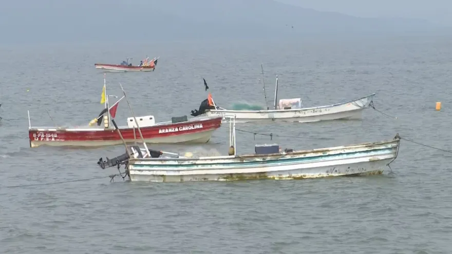 Panama fishermen travel farther offshore amid seafood scarcity, rising costs