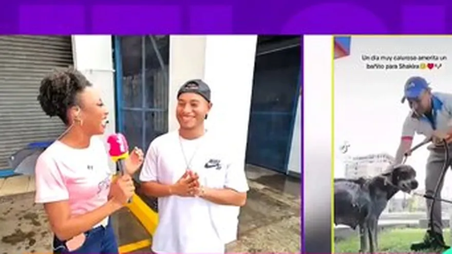 Apoyo a la perrita Shakira