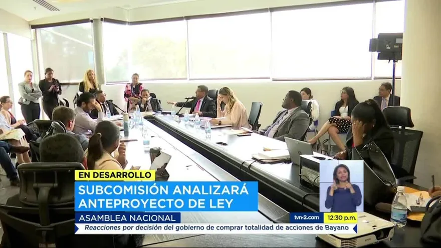 Subcomisión analizará anteproyecto ley sobre patronatos de cultura