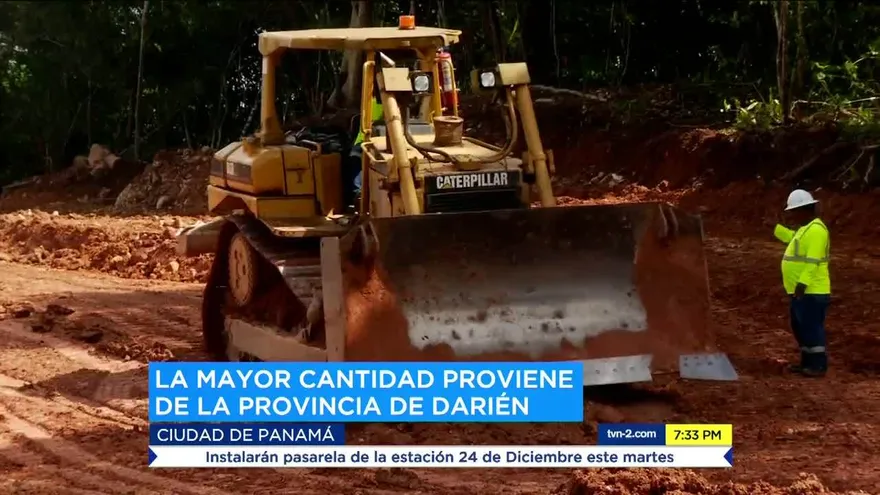 Se han presentado más de 200 denuncias por delitos ambientales