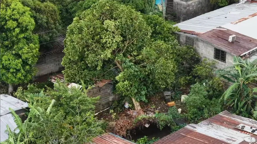 Fuertes vientos deja viviendas afectadas en San Miguelito
