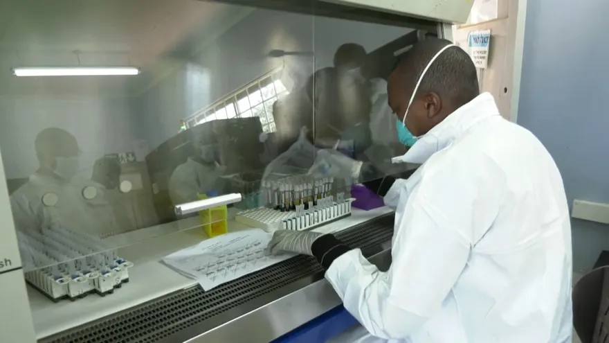 Coronavirus podría infectar a más de 200 millones de personas en Africa