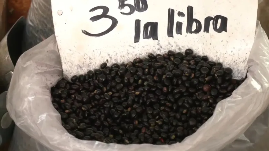 Plaga del guandú está afectando la producción