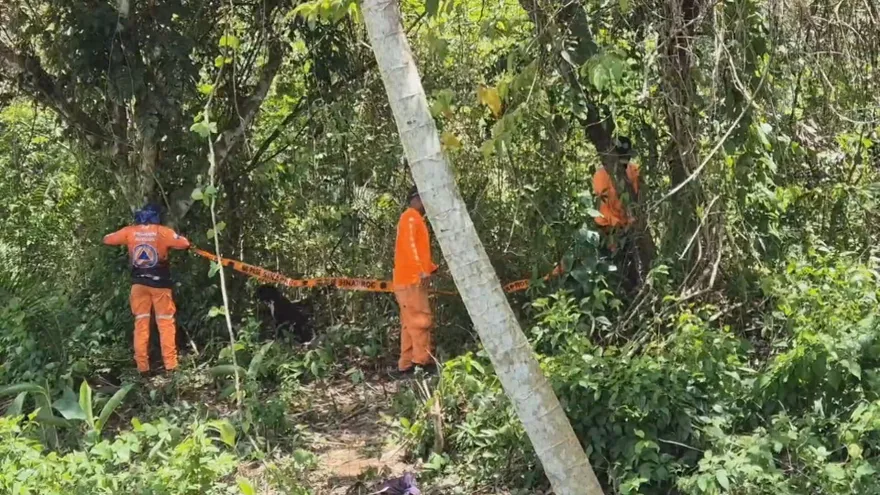 Adulto mayor es hallado muerto en La Chorrera; abejas africanizadas estarían involucradas