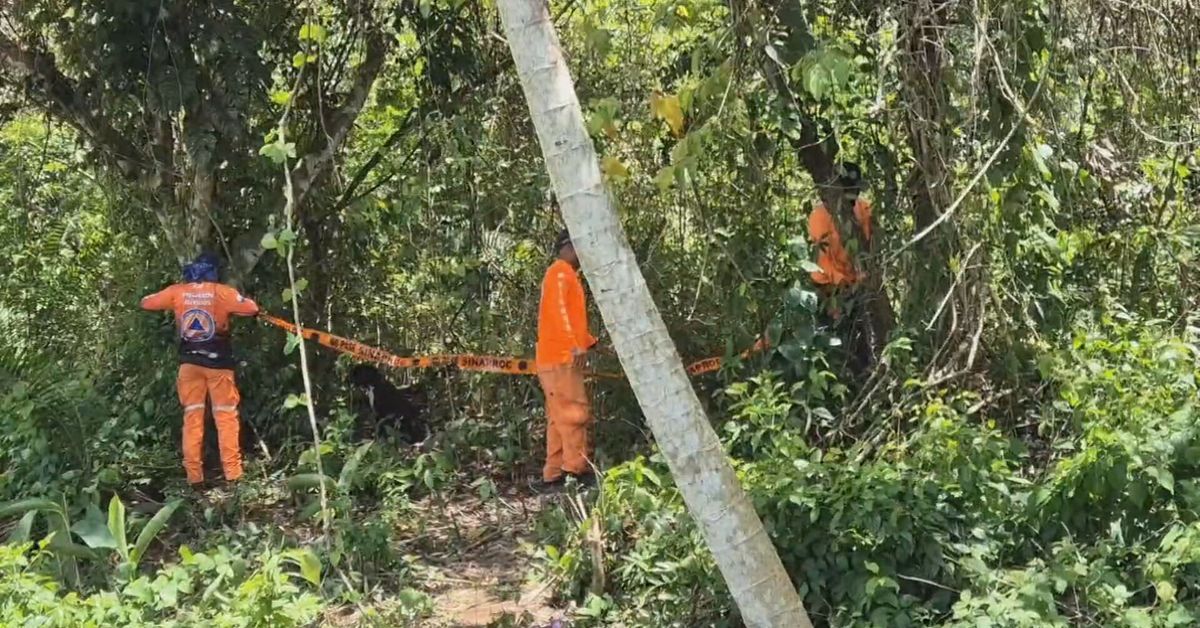 Adulto mayor es hallado muerto en La Chorrera; abejas africanizadas estarían involucradas