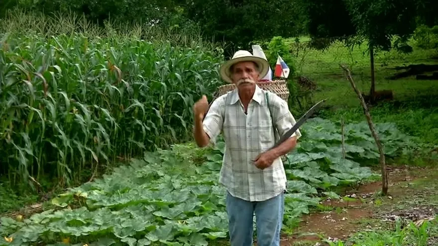 Huerto casero, una opción ante el aumento de los alimentos