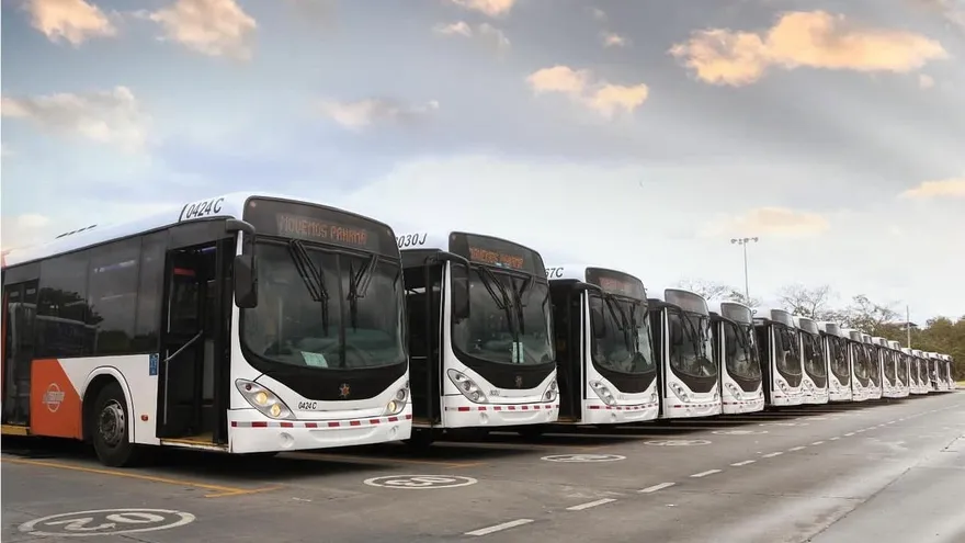 MiBus anuncia licitación para póliza de seguro de riesgos especiales