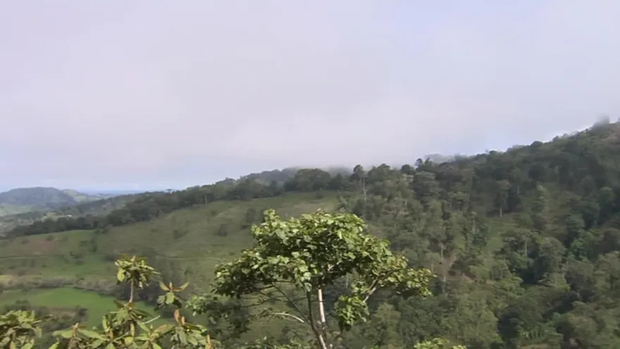 Reportaje de la Federación de Lazo de Chi. Occidente