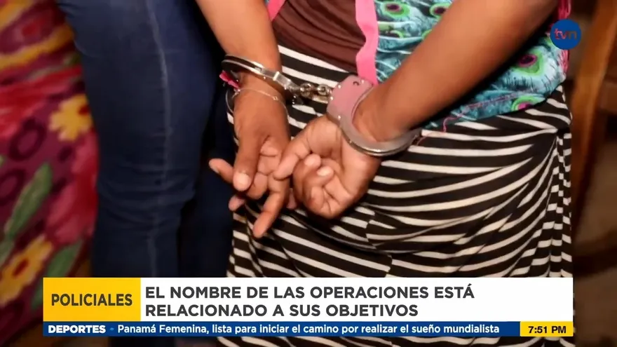 Operativos Policiales: Una acción, muchos nombres