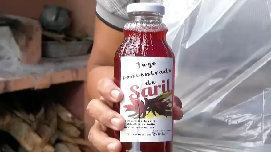 Mujeres emprendedoras en Río Hato crean productos derivados del saril