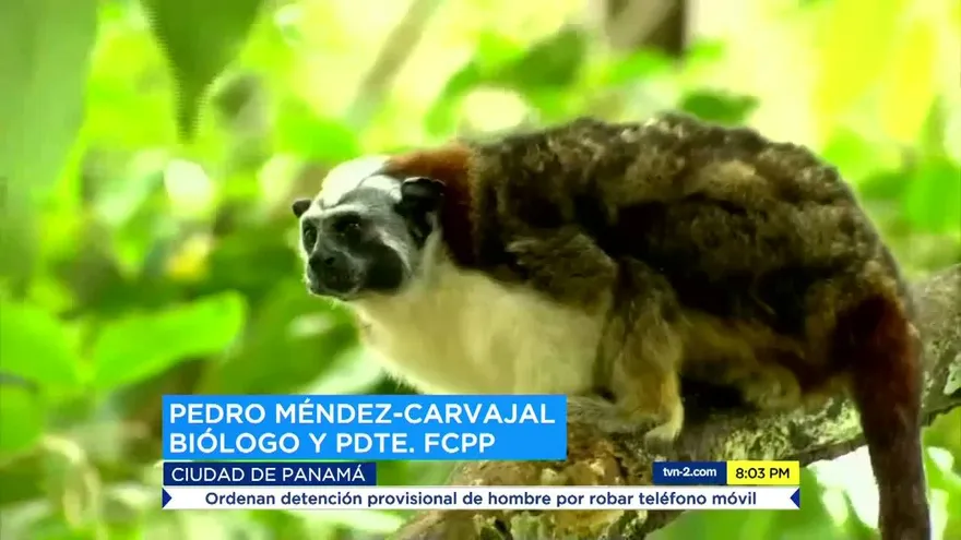 Segmento “Mundo Verde” recibe reconocimiento