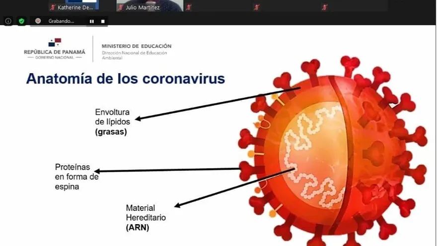 Guías dirigidas a los Comités Escolares Covid-19.