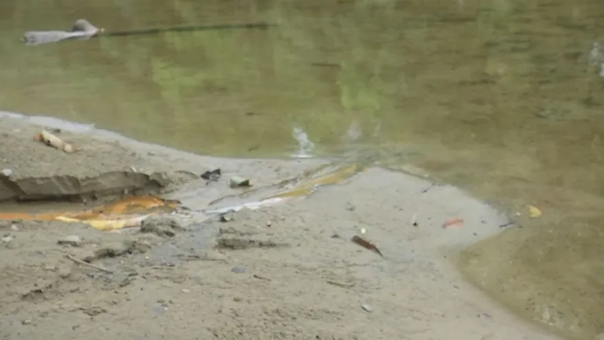 Contaminación en río Pacora llega a la Asamblea: comisión realiza inspección
