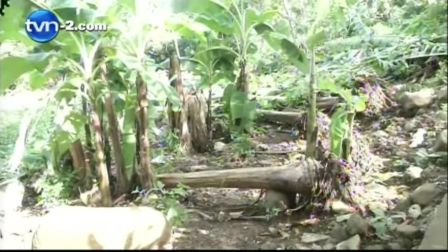 Vendaval deja sin hogar a familia en Dolega