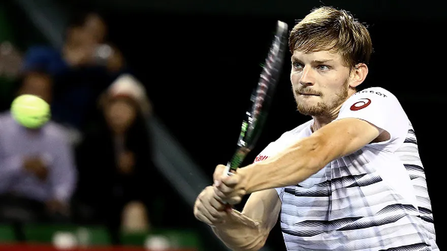 David Goffin