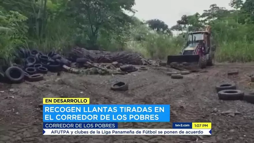 Recogen llantas tiradas en el Corredor de los Pobres