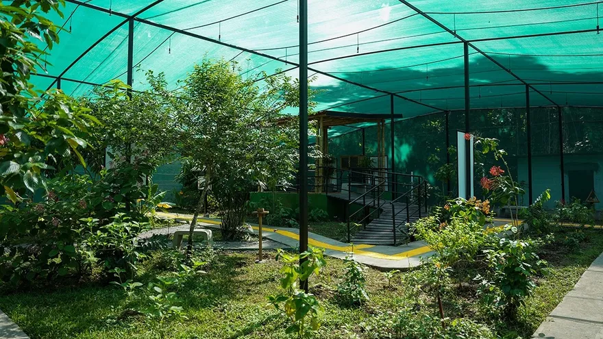 Refugio del Bosque Tropical