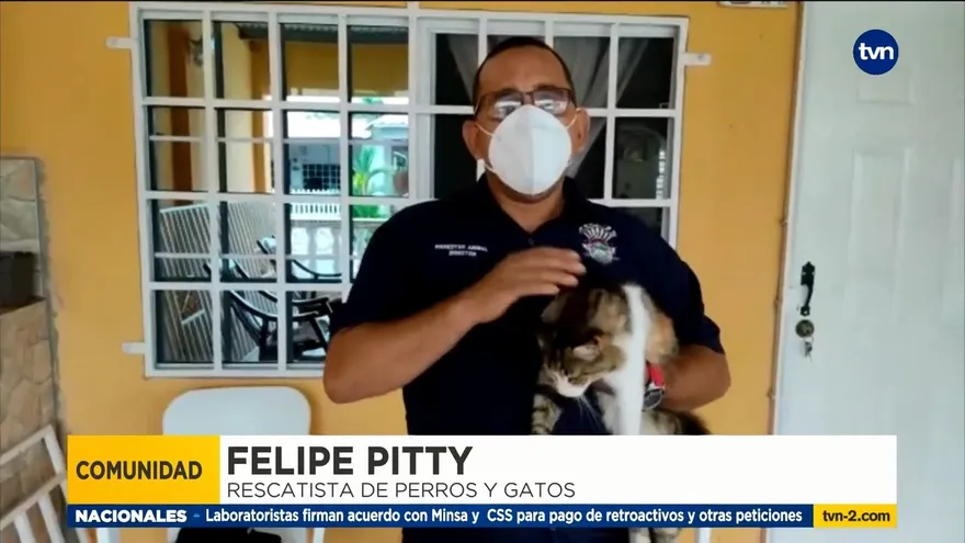 ¿Cómo ayudar a los rescatistas de animales?