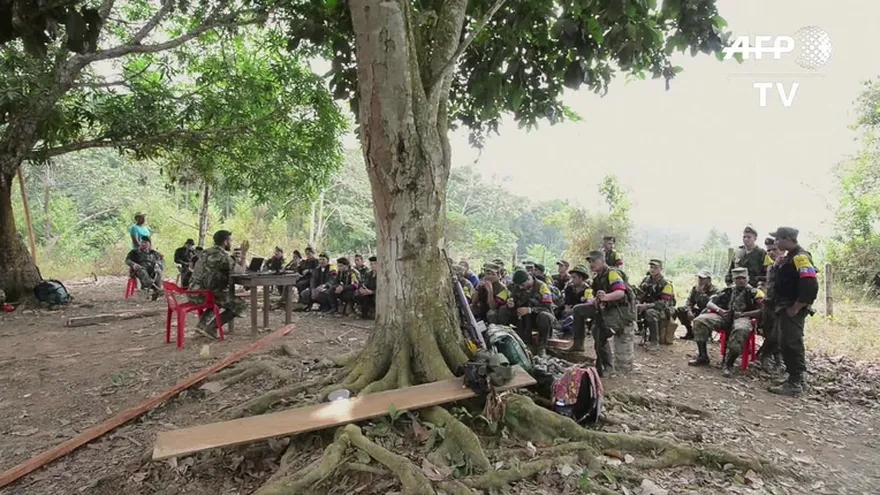 Las FARC aprenden de paz en la selva