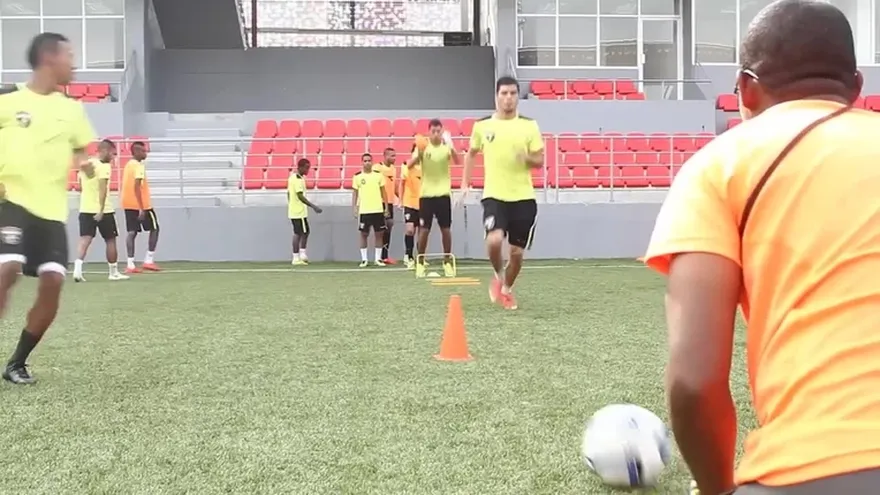 Los leones listos para rugir