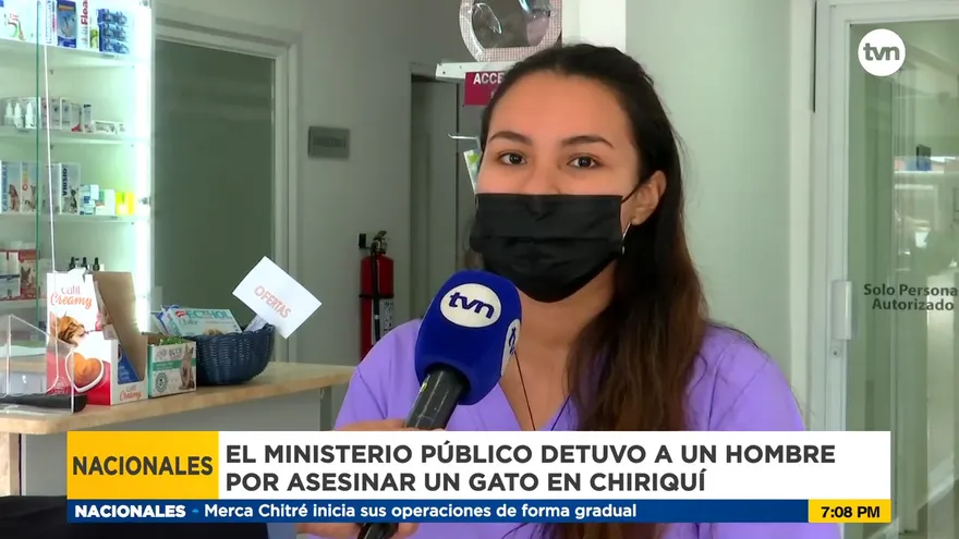 Rechazo por imágenes de un hombre quemando un gato