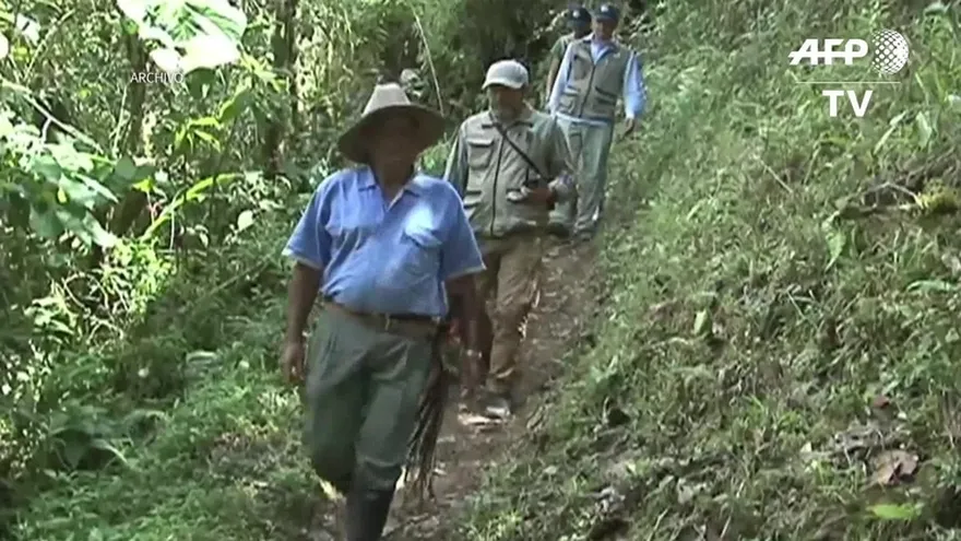 Colombia: guerrilleros de FARC heridos en "combate" con Ejército