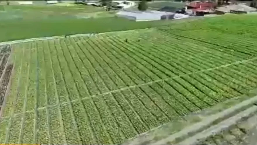 Consejo de Seguimiento de la Política de Estado para el Agro se reúne