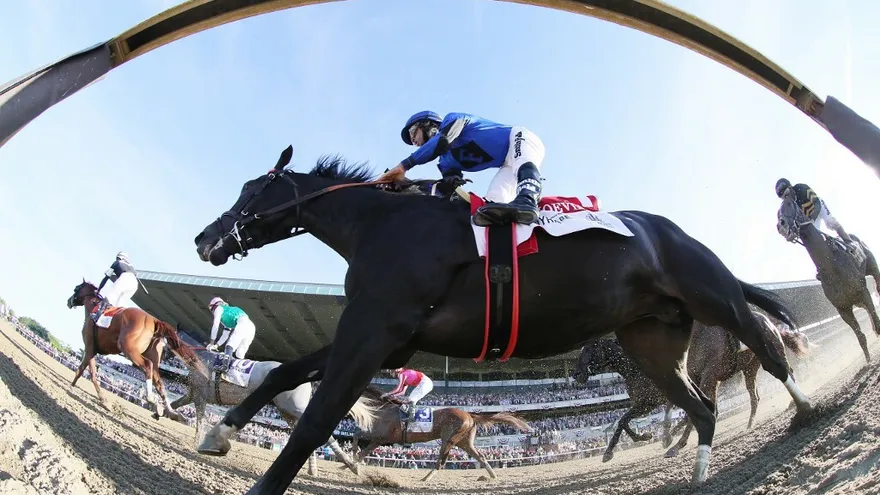 'Joevia', con el jinete panameño José Lezcano