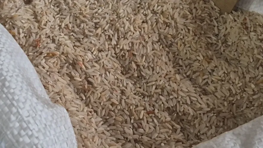 Producción de arroz